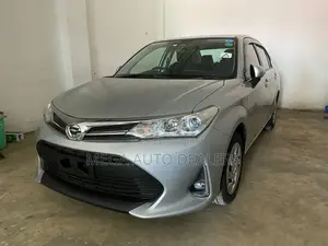 Toyota Axio 2018 Silver
