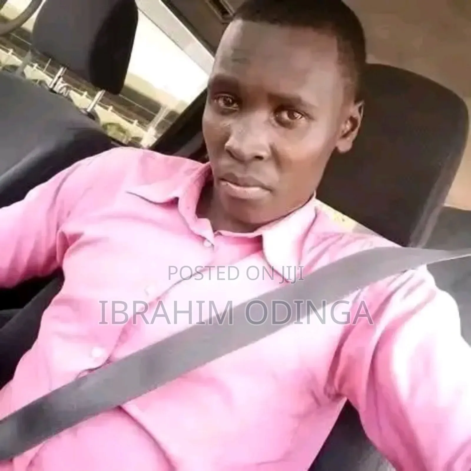 Professional Driver