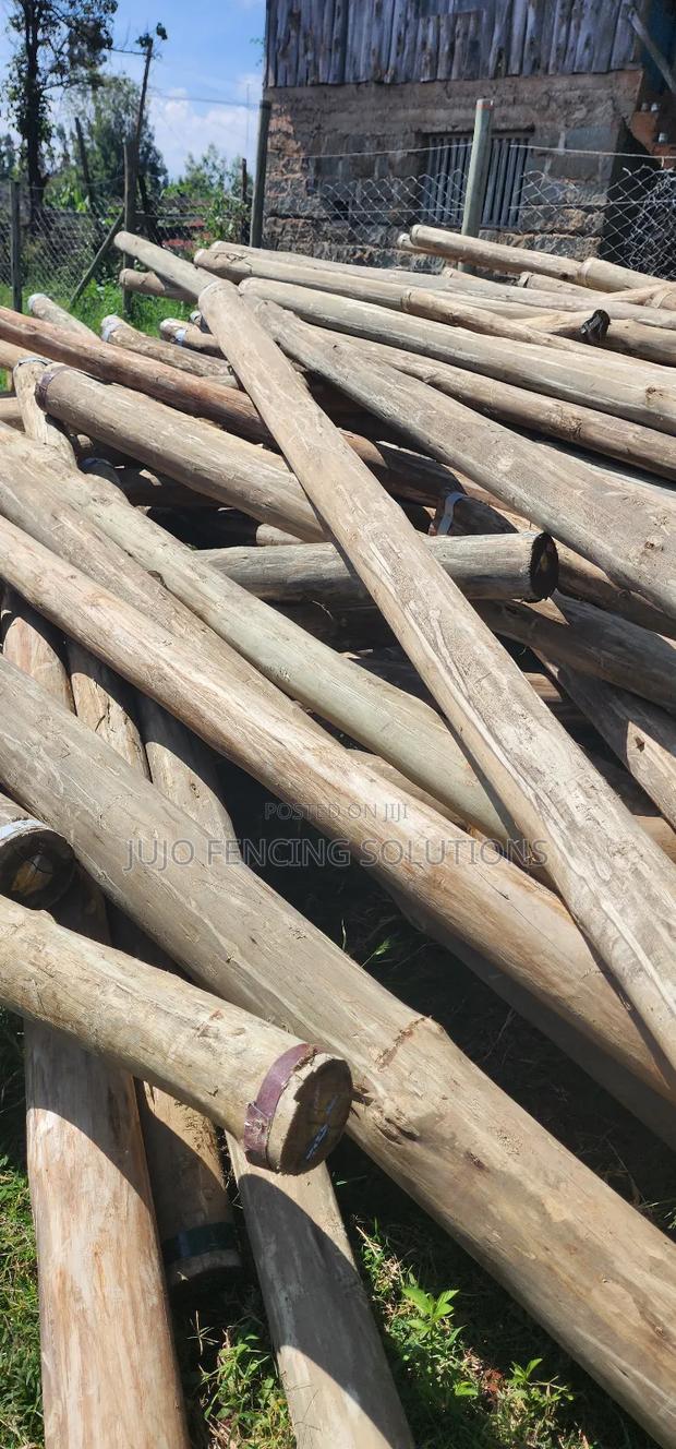 12 Ft Treated Poles - main view