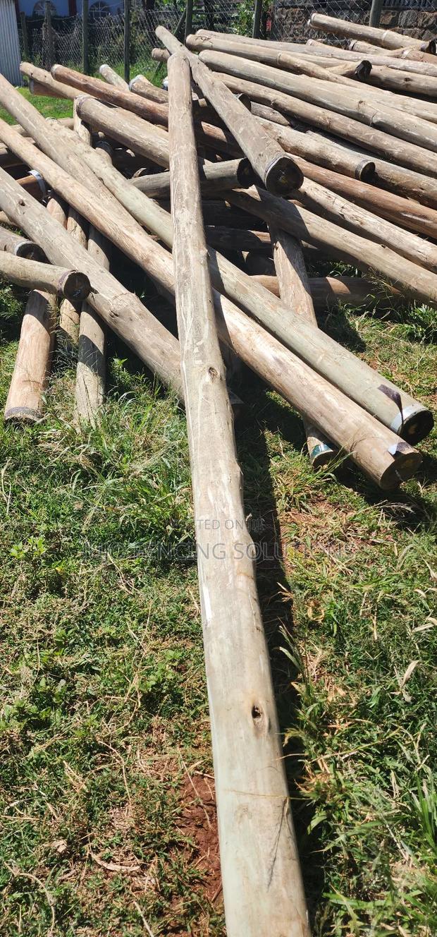 12 Ft Treated Poles - thumbnail 2