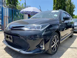 Toyota Corolla Fielder 2018 Black