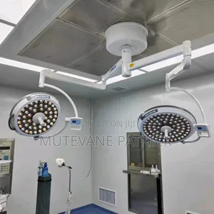 Double Arm Ceiling Mount Theatre Light