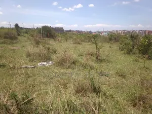 Commercial Plot 100*100 Kandara Estate, Witethie