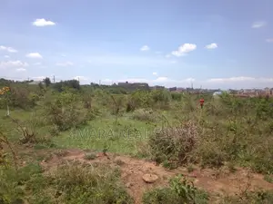 Commercial Plot 100*100 Kandara Estate, Witethie