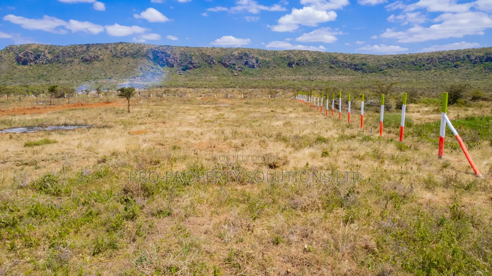 Affordable Plots in a Gated Community Concept in Nachu