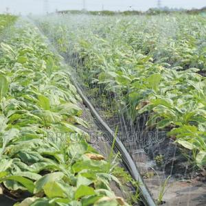 Crop Cool Spray 50mm - thumbnail 2