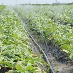 Crop Cool Spray 50mm