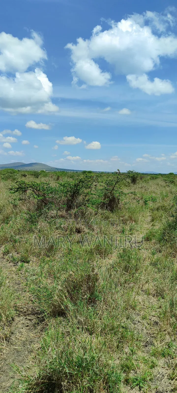 50 by 100 Konza City Plots
