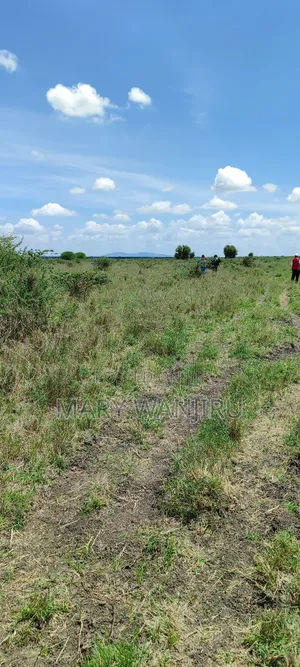50 by 100 Konza City Plots