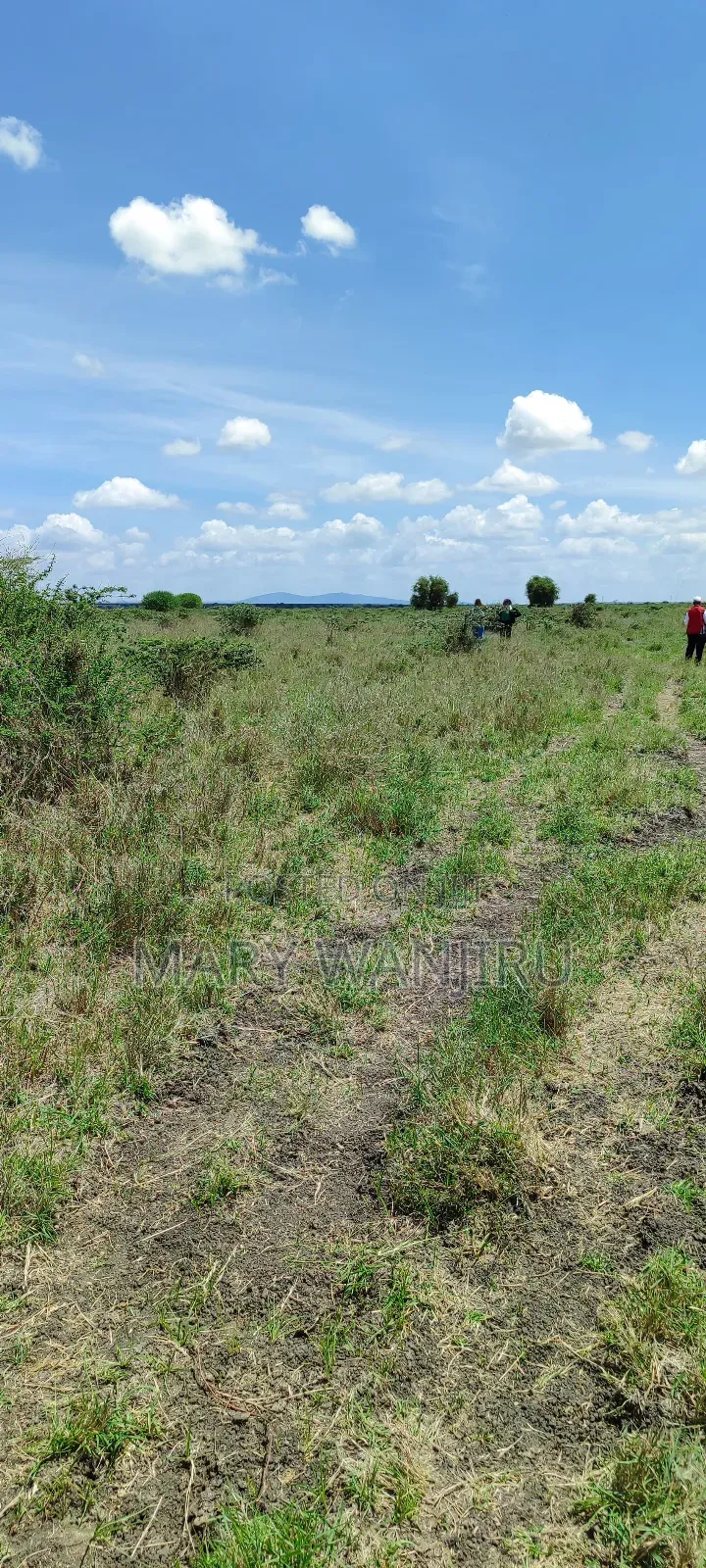 50 by 100 Konza City Plots