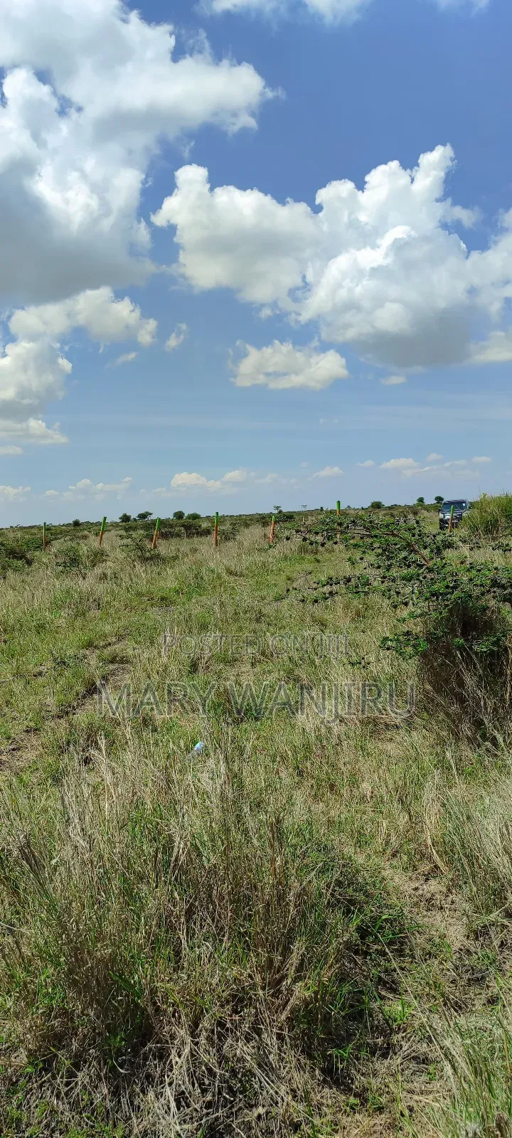 50 by 100 Konza City Plots