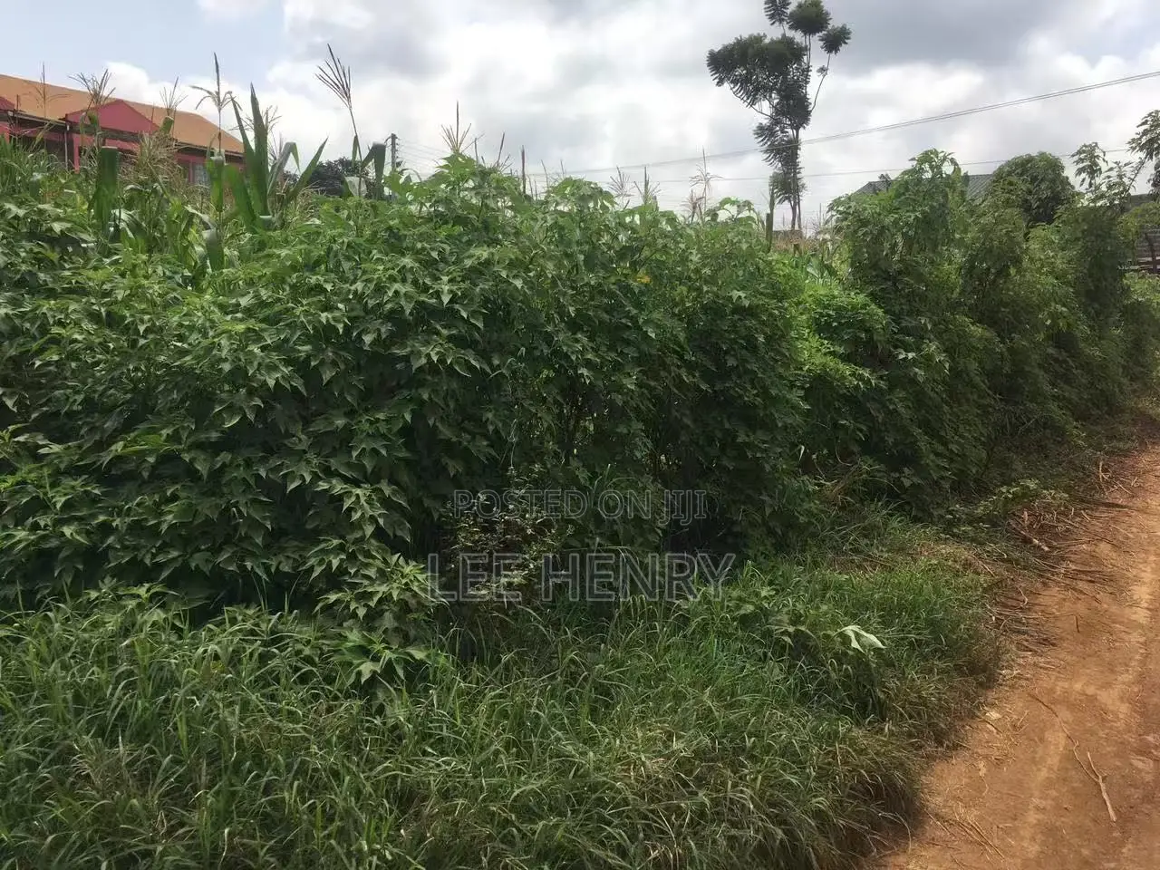 Plot for Sale