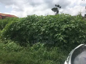 Plot for Sale