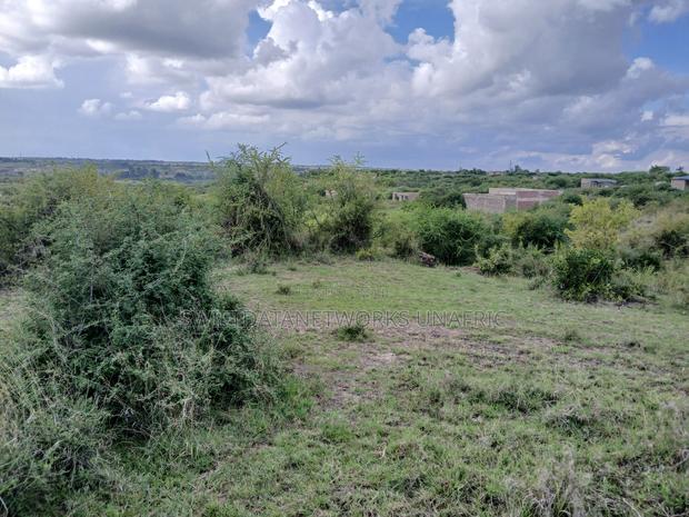 40x80 Jujafarm - main view