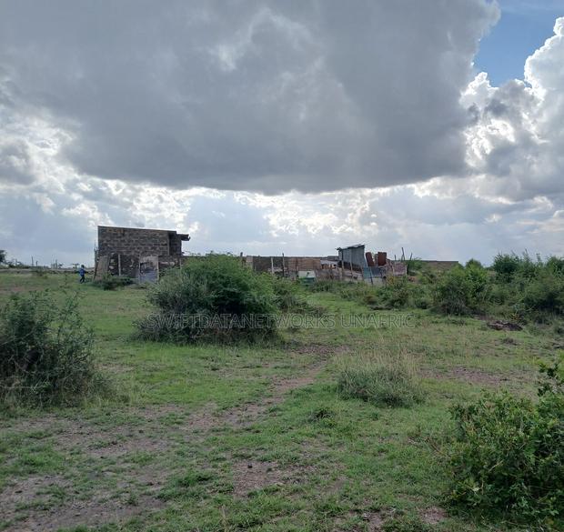 40x80 Jujafarm - thumbnail 3