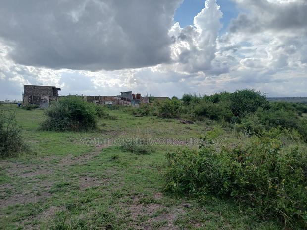 40x80 Jujafarm - thumbnail 4