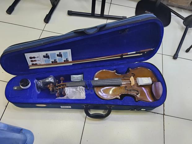 Stentor Violin - main view