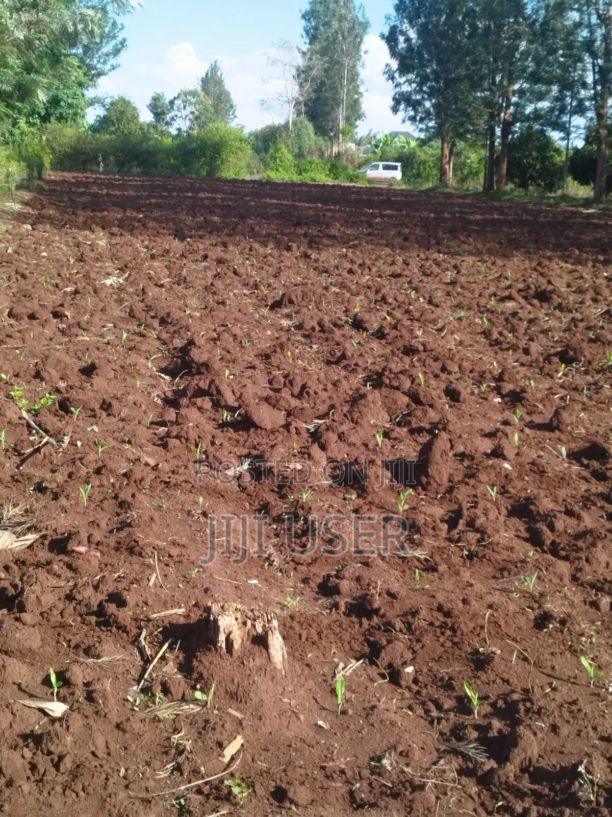 Prime Commercial 1/2acre Kirinyaga Touching Kagio-Kutus Tarmac Road.