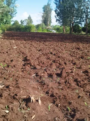 Prime Commercial 1/2acre Kirinyaga Touching Kagio-Kutus Tarmac Road.