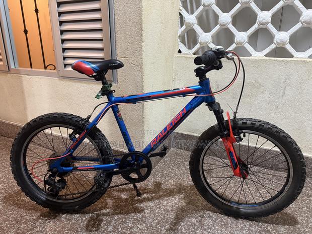 Mountain Bike Raleigh - main view