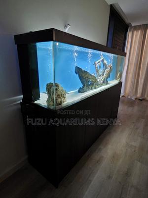Spark Joy With a Living Aquarium - thumbnail 2