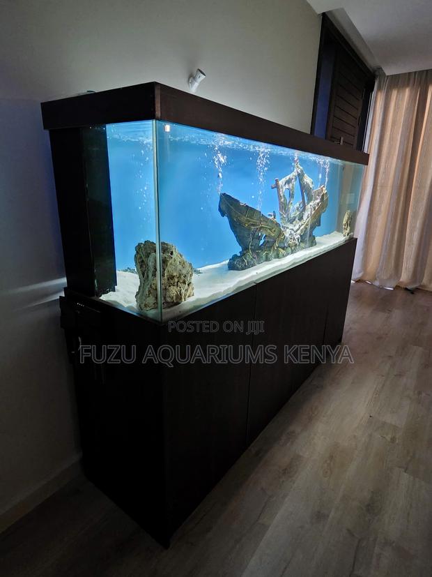 Spark Joy With a Living Aquarium