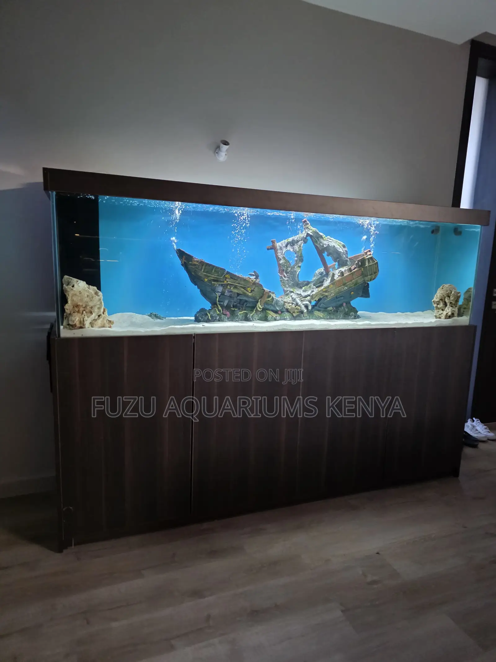 Aquarium Cabinet – Life in Every Corner