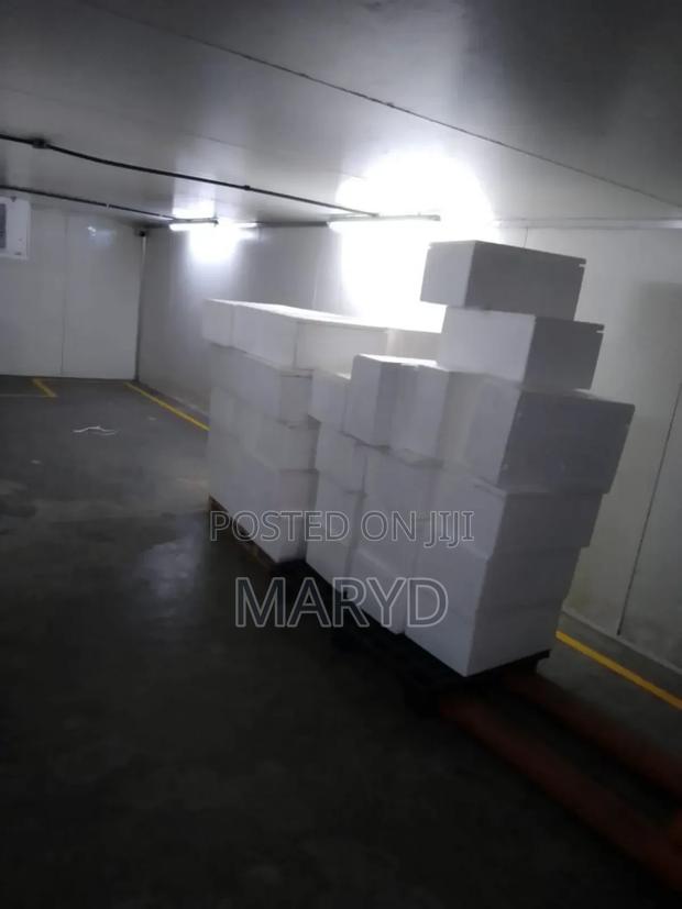 Styrofoam Cooler Boxes - thumbnail 4