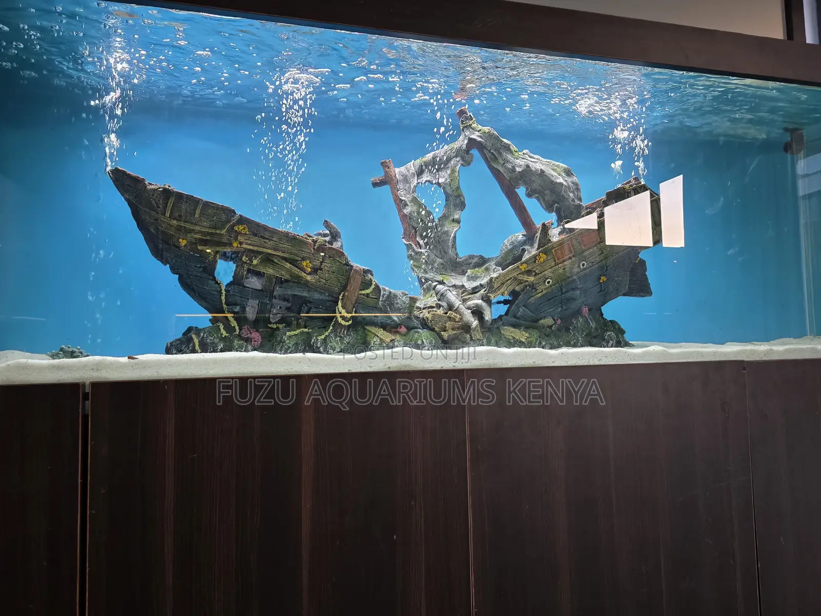 Stunning Aquarium + Matching Cabinet – 100% Ready
