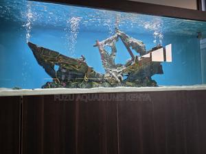 Stunning Aquarium + Matching Cabinet – 100% Ready - thumbnail 2