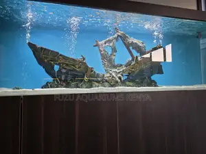 Stunning Aquarium + Matching Cabinet – 100% Ready