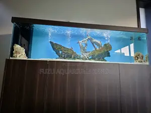 The Easiest Way to Own a Breathtaking Aquarium