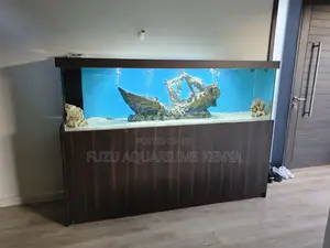 Aquarium Oasis: Bring Nature Home