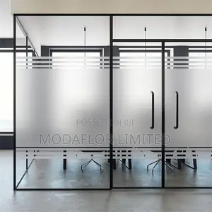 Elegant Frosted Window Cover _ No Curtains Needed