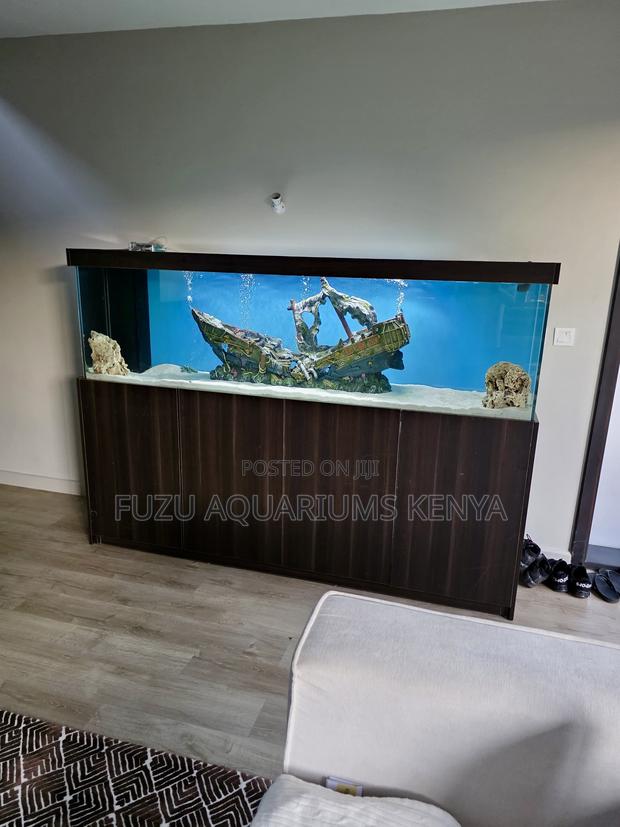 Captivating Complete Aquarium + Elegant Stand – Ocean Magic at Home - main view