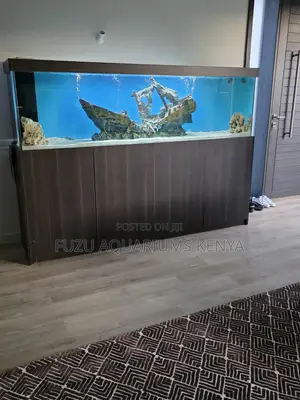 Aquarium Paradise: The Complete Experience