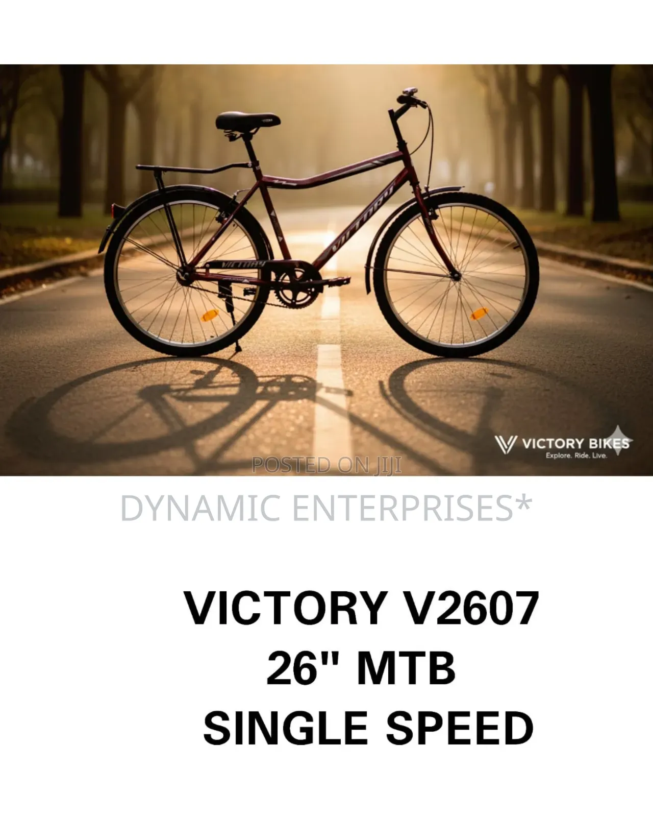 Victory V2607 26" MTB Single-Speed Bicycle