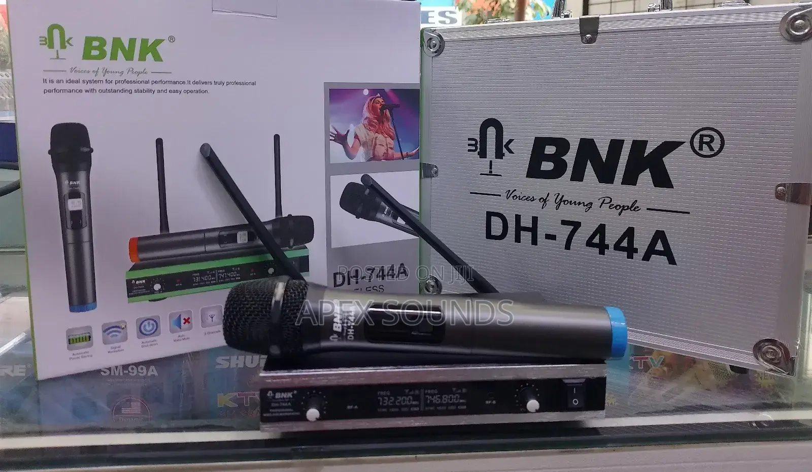BNK 744 Wireless Microphone