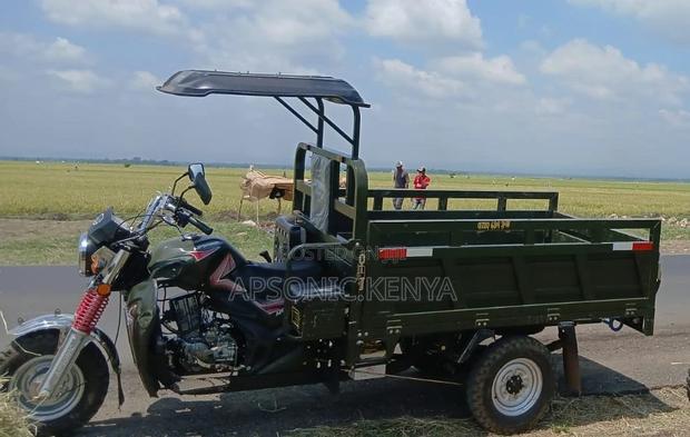 New Apsonic AP250 PRO 2024 Green - thumbnail 2