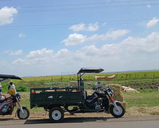 New Apsonic AP250 PRO 2024 Green - thumbnail 3