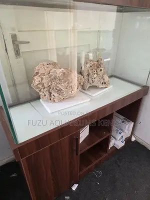 Aquarium Coral That Turns Your Tank Into a Mini Ocean