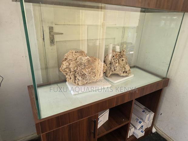 Aquarium Corals That Bring Pure Tropical Vibes - main view