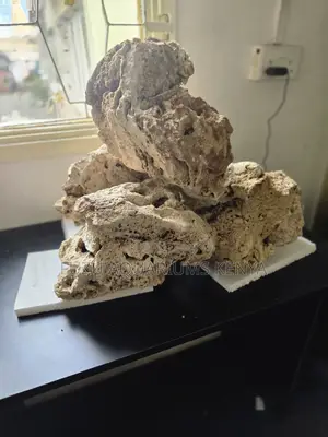 Hole-Filled Aquarium Coral Rock – Perfect Fish Territories