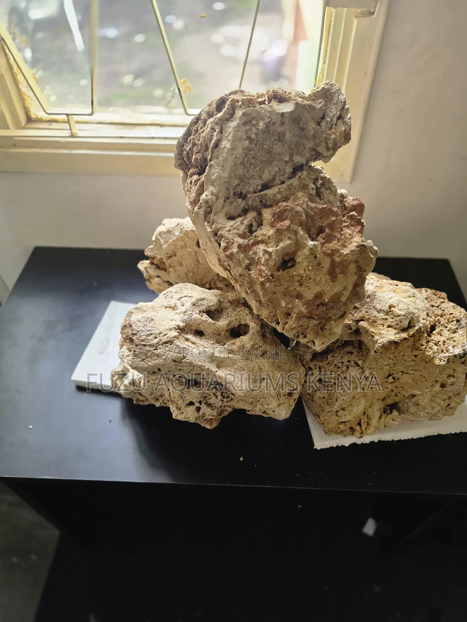 Budget-Friendly Aquarium Coral Rock – Best Price in Kenya