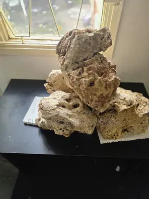 Budget-Friendly Aquarium Coral Rock – Best Price in Kenya
