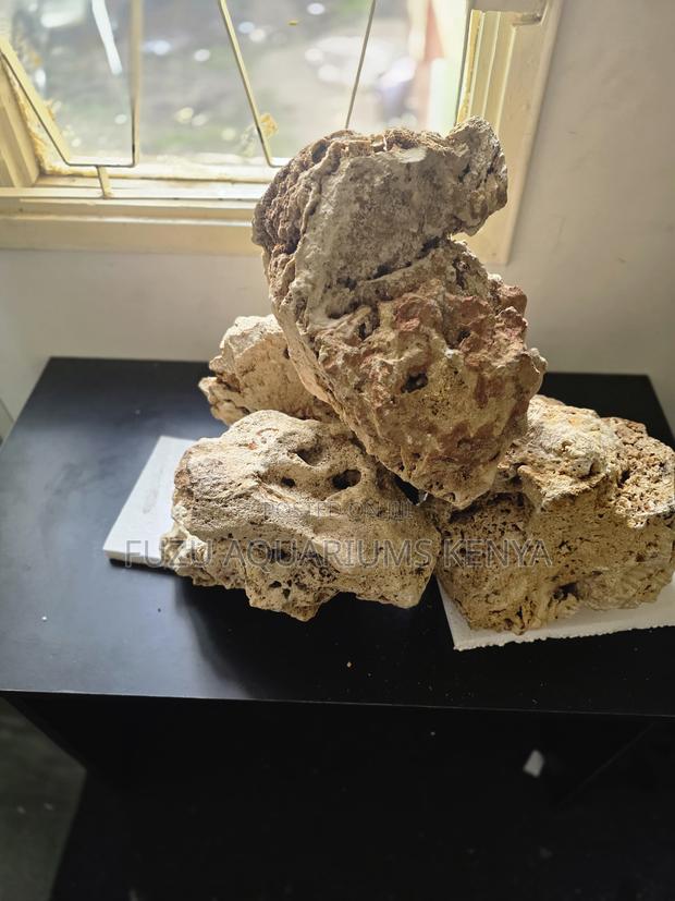 Budget-Friendly Aquarium Coral Rock – Best Price in Kenya
