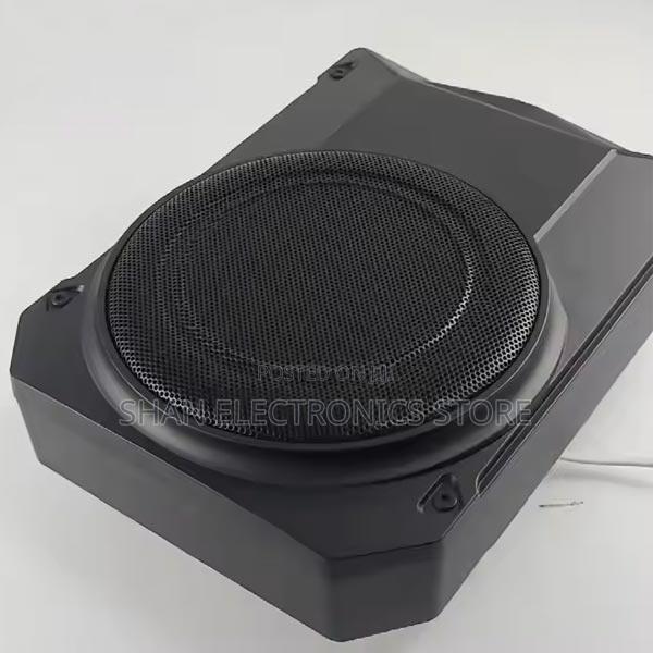 New Affordable Bk668 10-Inch Amplified Flat Bass Subwoofer 2000w