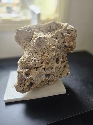 Aquarium Corals for Tanks That Need That Final Touch - thumbnail 2