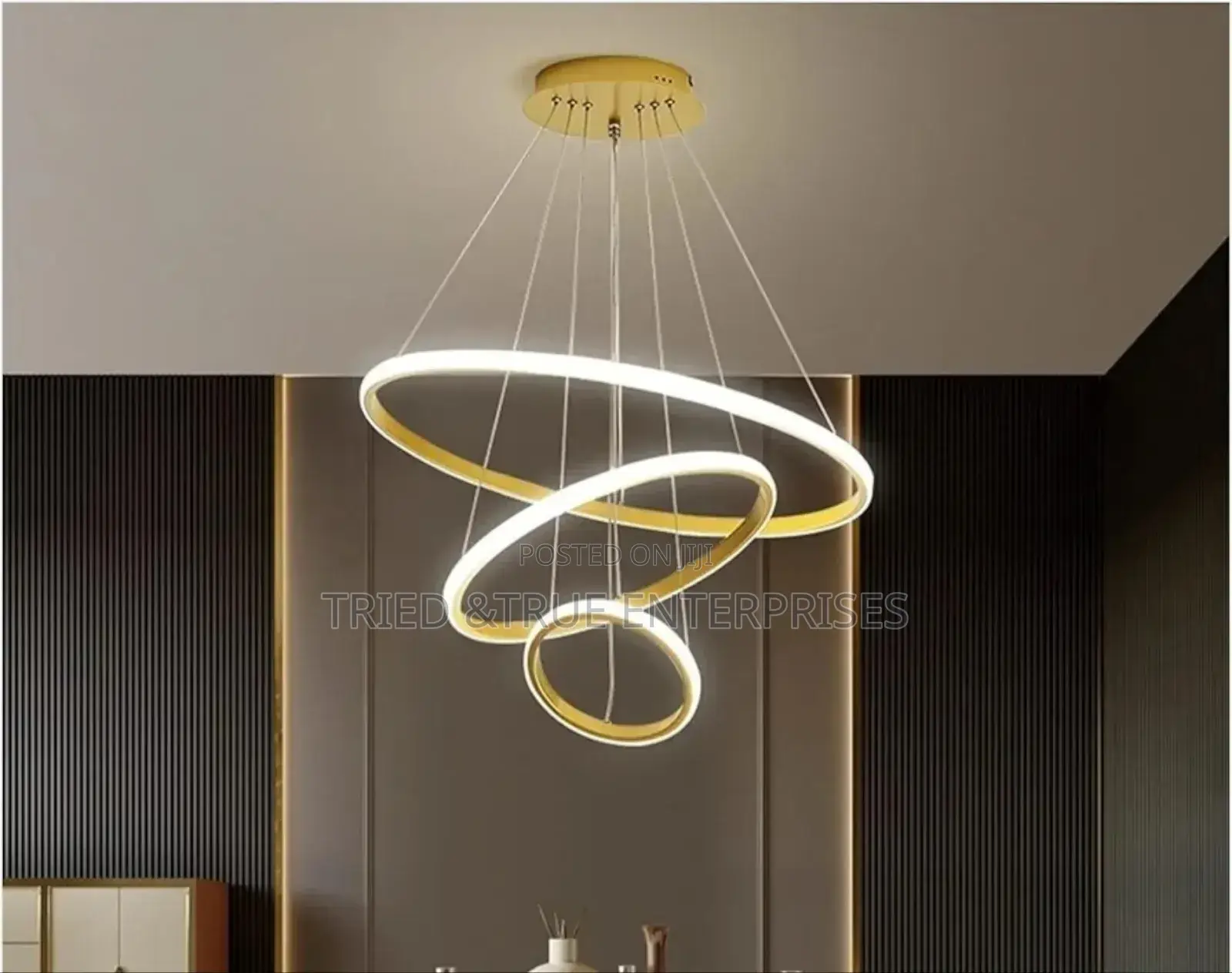 Modern Ring Led Ceiling Round Chandelier Light Gsw3