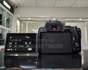 Canon Eos 250d Camera With Ef-S 18-55 Mm F/3.5-5.6 Iii